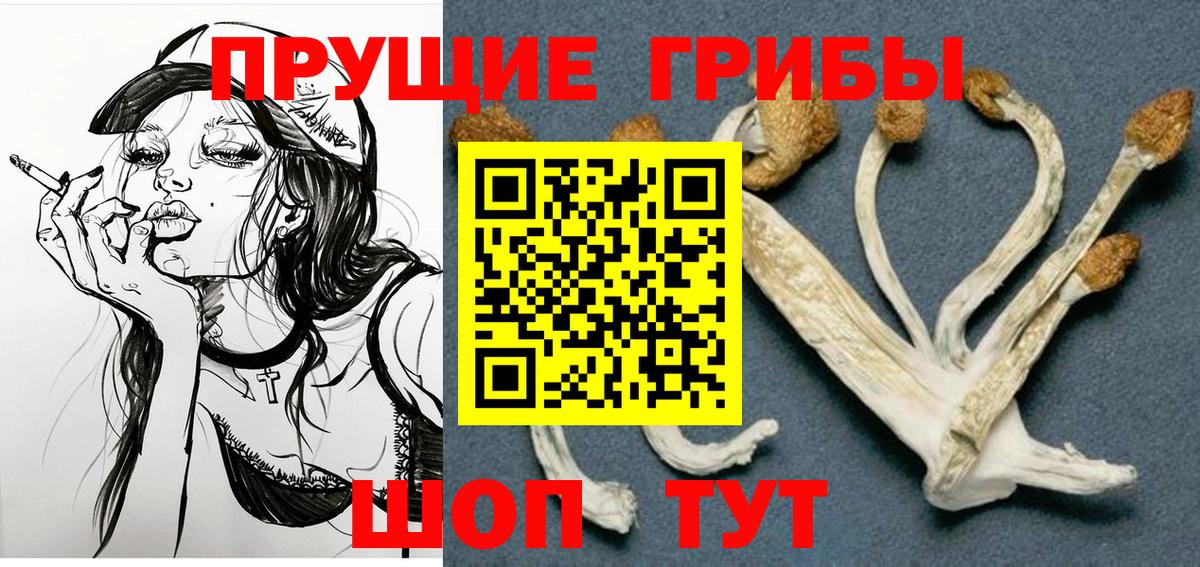 Псилоцибиновые грибы MAGIC MUSHROOMS Королёв